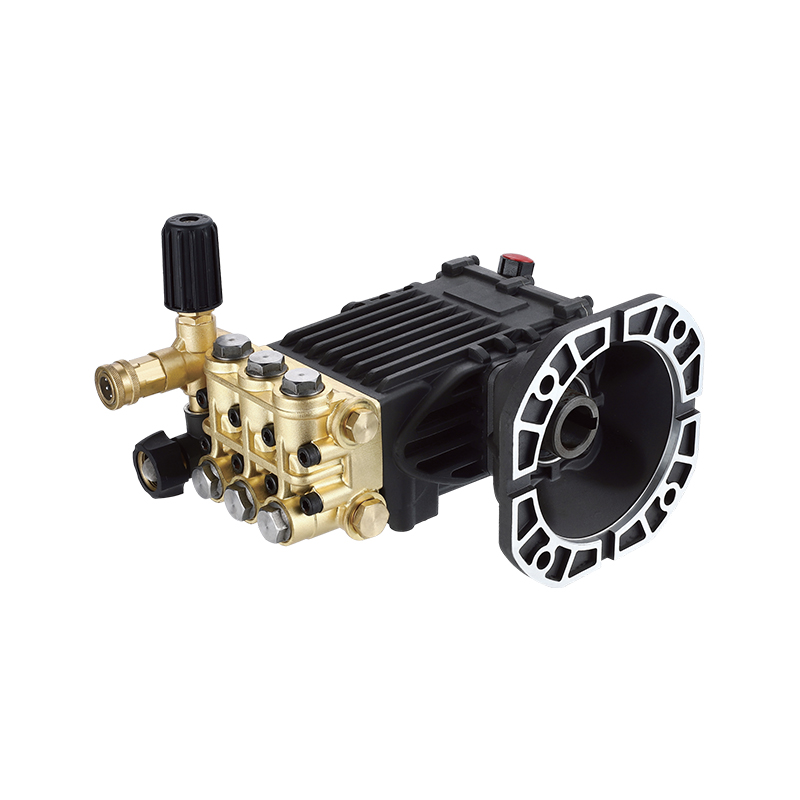 Bomba de êmbolo de acionamento direto com motor tipo DBQ-C3